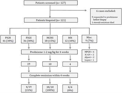 Etiology of Kidney Diseases With Proteinuria in the Gambia/West Africa